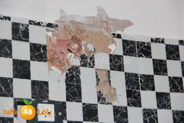 zaytoon house 0227 (23).JPG